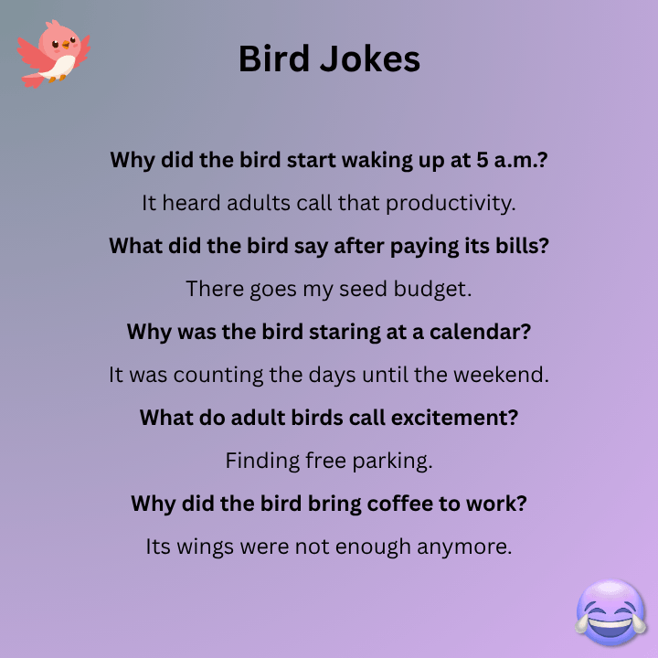 Bird Jokes For Adults