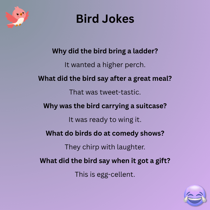 Funny Bird Jokes