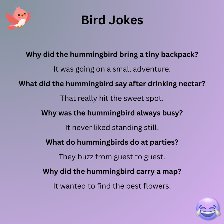 Humming Bird Jokes