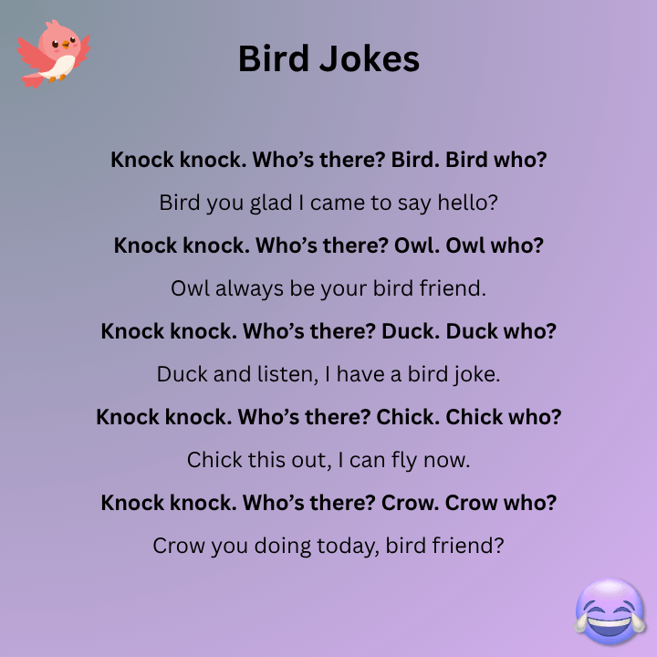 Knock Knock Bird Jokes
