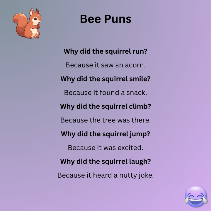 Short Squirrels Jokes