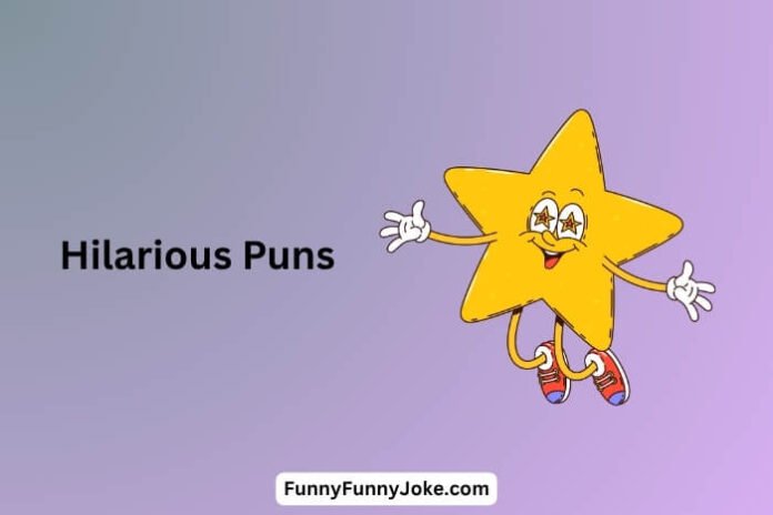 Hilarious Puns Hilarious Puns