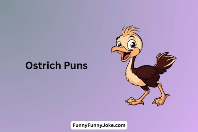 Ostrich Puns Ostrich Puns