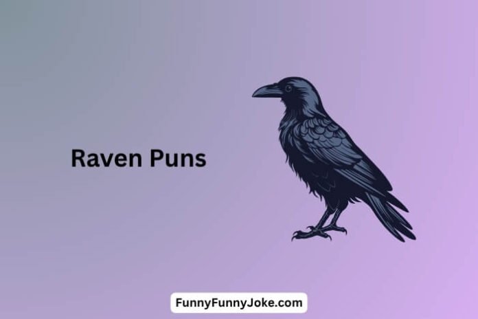 Raven Puns Raven Puns