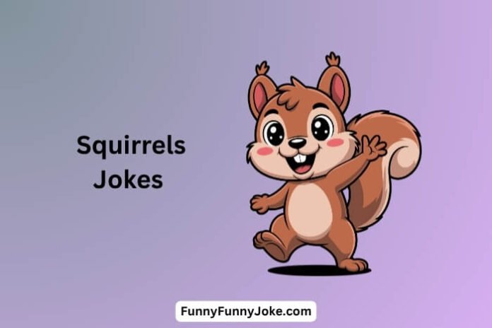 Squirrels Jokes Squirrels Jokes