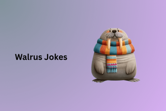 Walrus Jokes Walrus Jokes